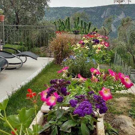 La Vie Est Belle Couette-café 3*