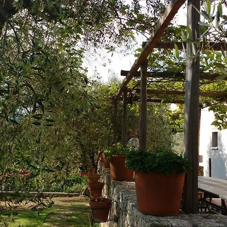 La Vie Est Belle Finale Ligure