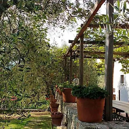 La Vie Est Belle B&B 3*